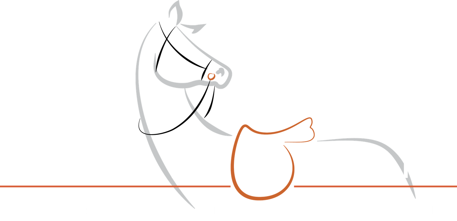 Logo equid&fitt ergonome équin