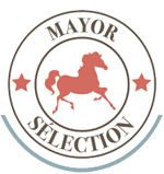 Logo Mayor Sélection